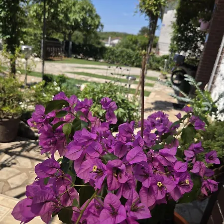 Apartman Sobe Randelj Cavle