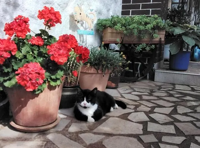 Sobe Randelj Appartamento