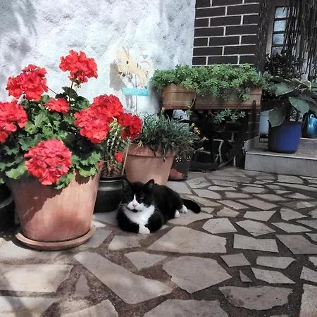 Sobe Randelj Apartman