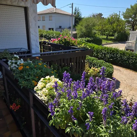 Sobe Randelj Apartman *